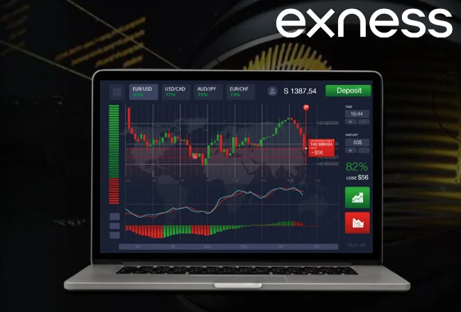 Exness Account Types for UAE Traders