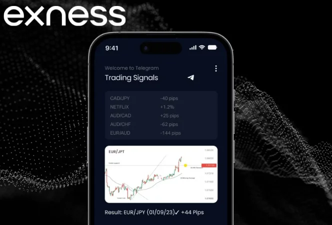 Exness Trading Signals